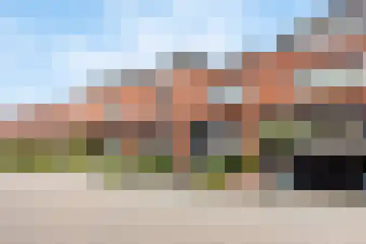 Pelschans 3 Zoetermeer thumbnail 42