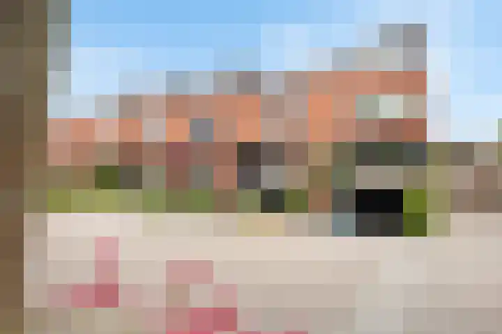 Pelschans 3 Zoetermeer thumbnail 43