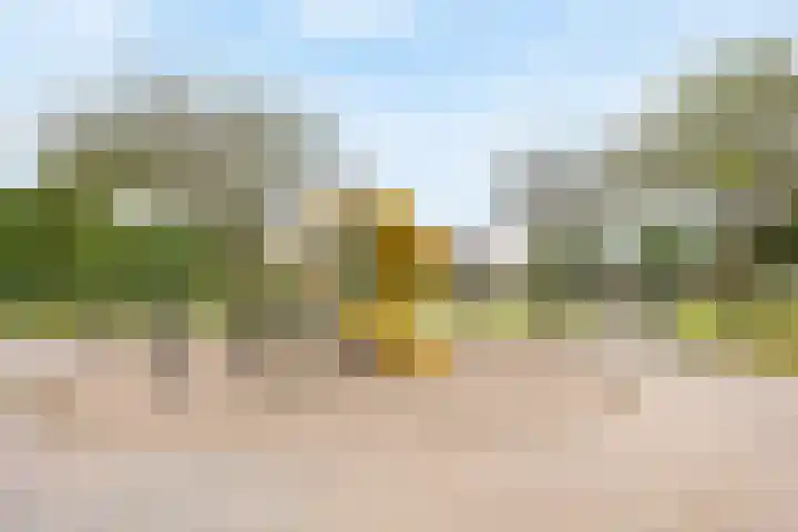 Pelschans 3 Zoetermeer thumbnail 46