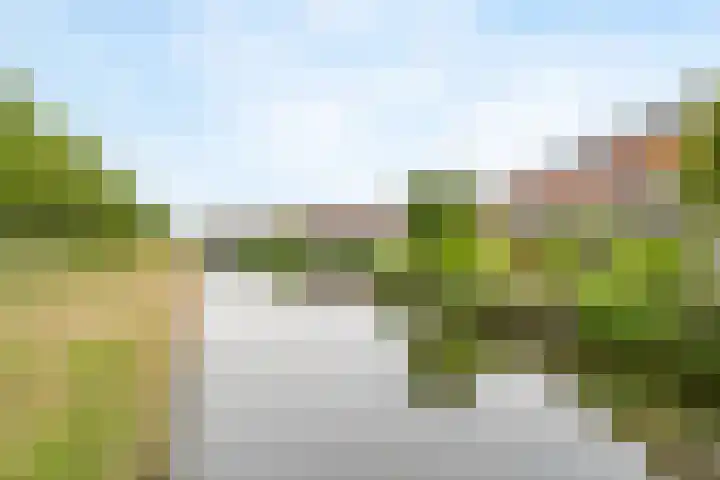 Pelschans 3 Zoetermeer thumbnail 47
