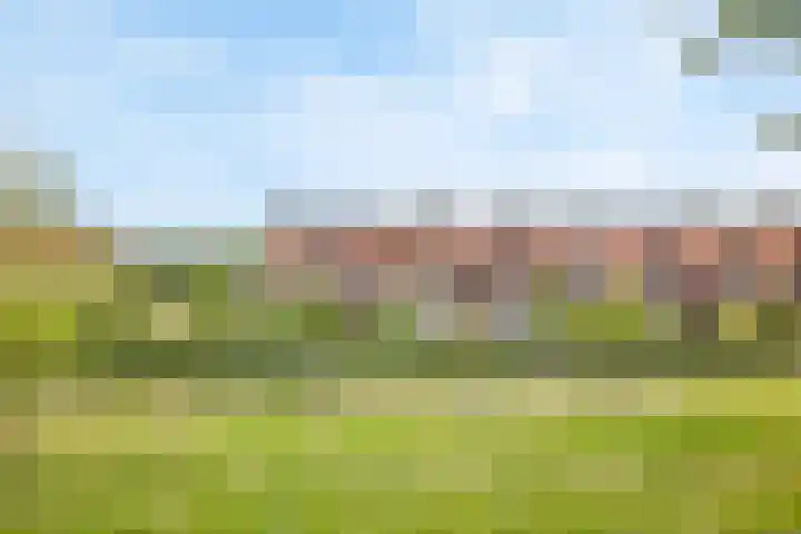 Pelschans 3 Zoetermeer thumbnail 48