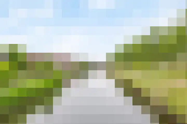 Pelschans 3 Zoetermeer thumbnail 49