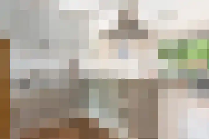Pelschans 3 Zoetermeer thumbnail 5