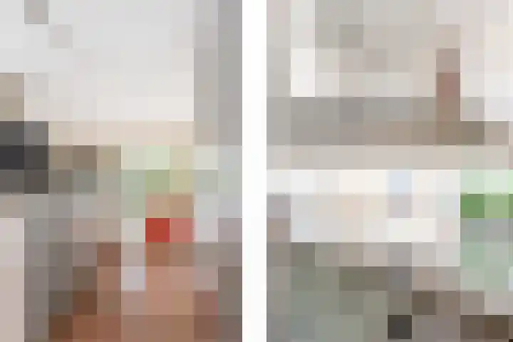 Pelschans 3 Zoetermeer thumbnail 6