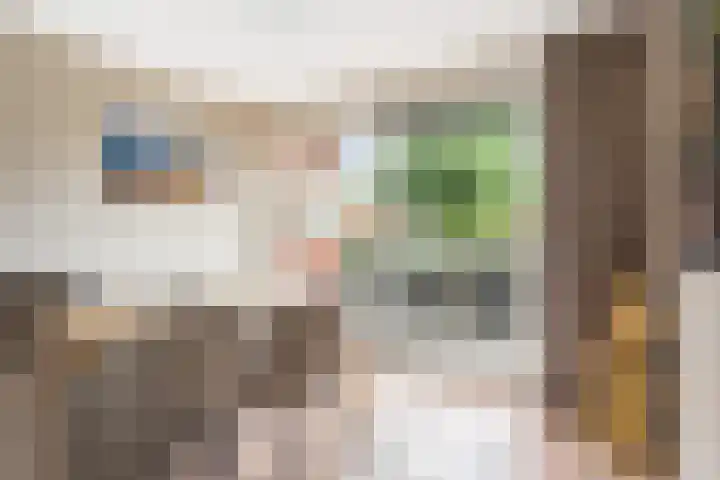 Pelschans 3 Zoetermeer thumbnail 8