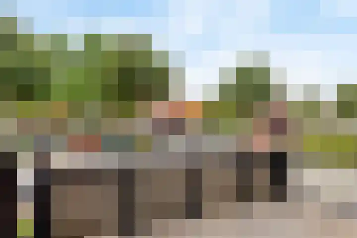 Pelschans 3 Zoetermeer thumbnail 9