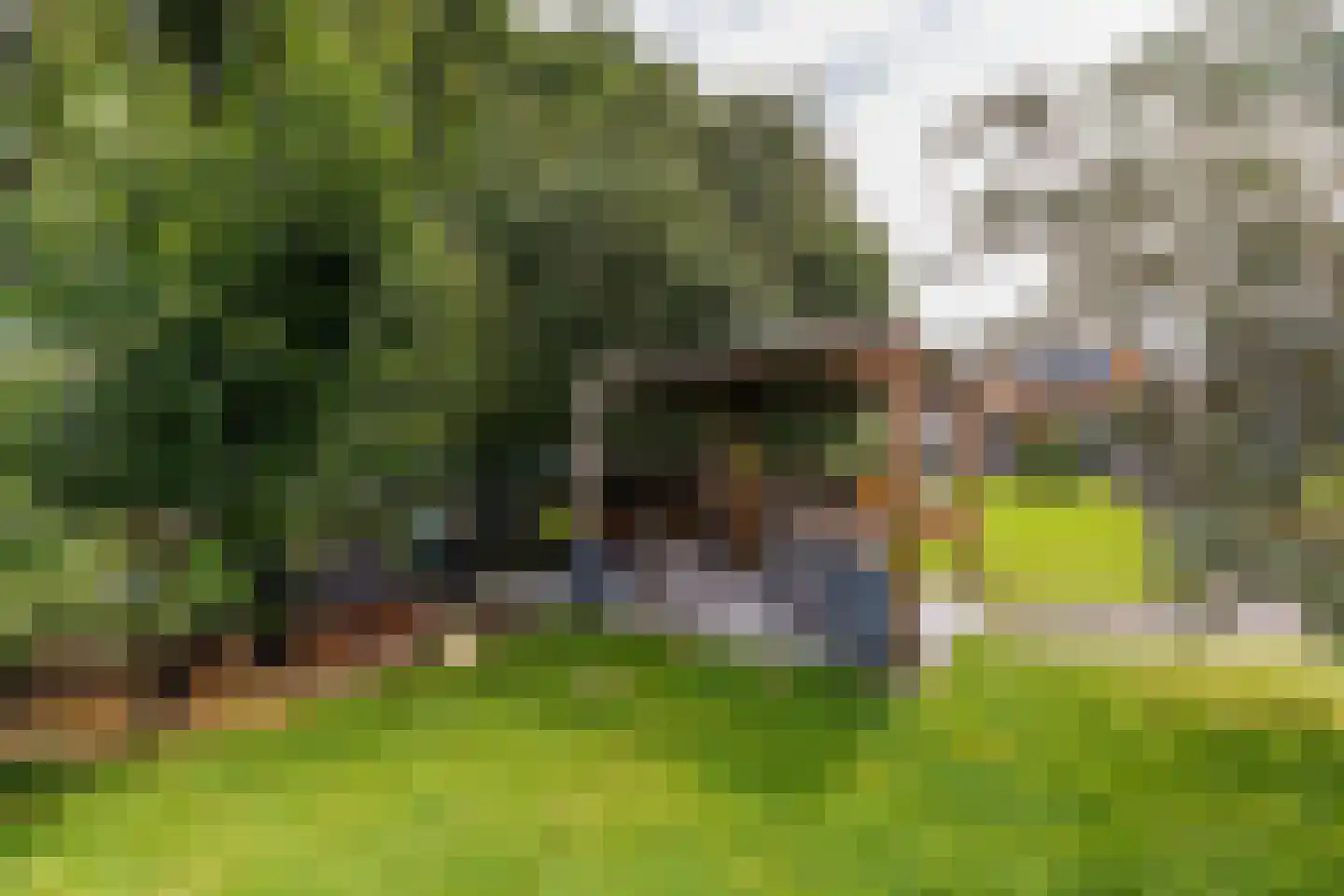 Pelsendijk 13 De Heen thumbnail 28