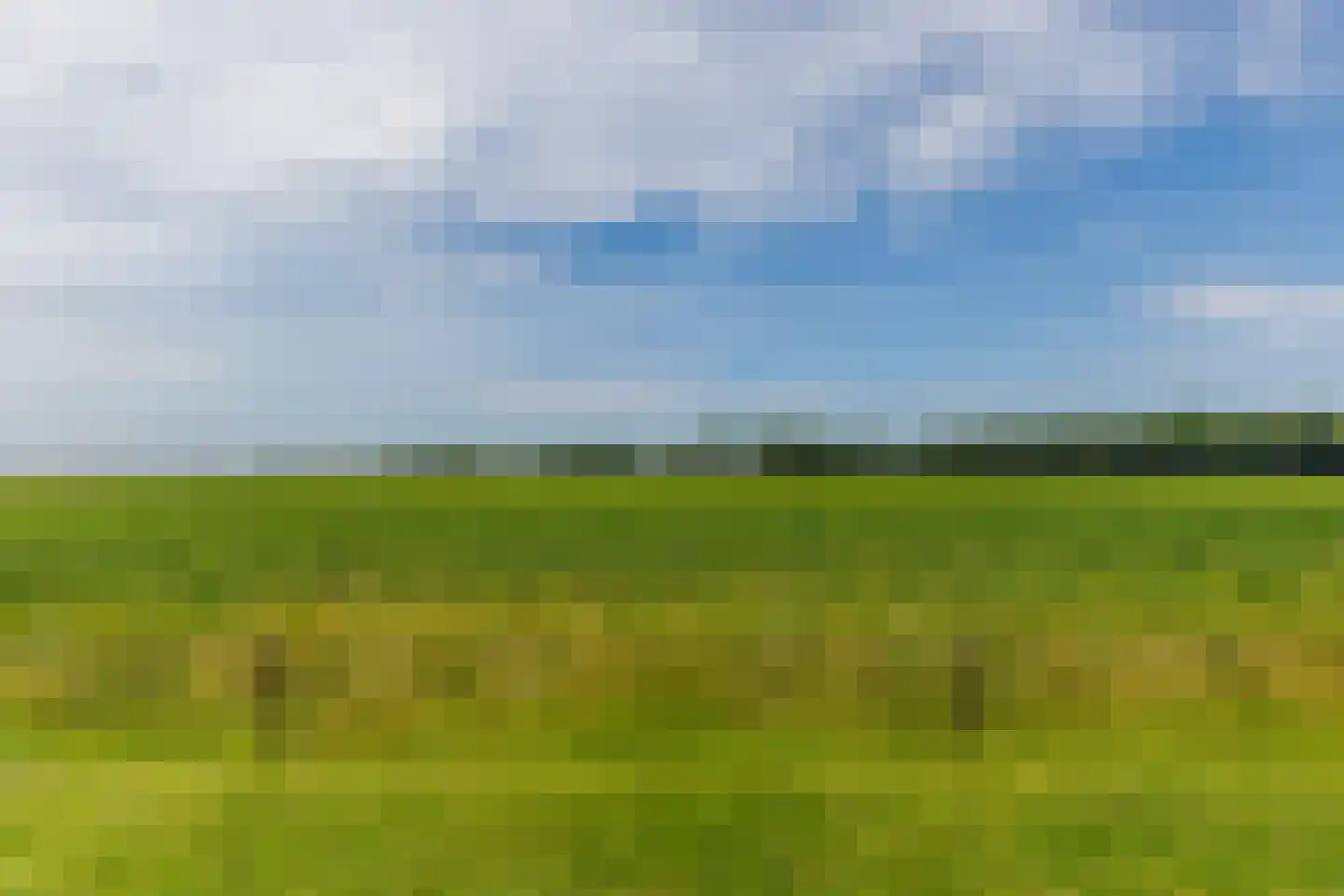 Pelsendijk 13 De Heen thumbnail 29