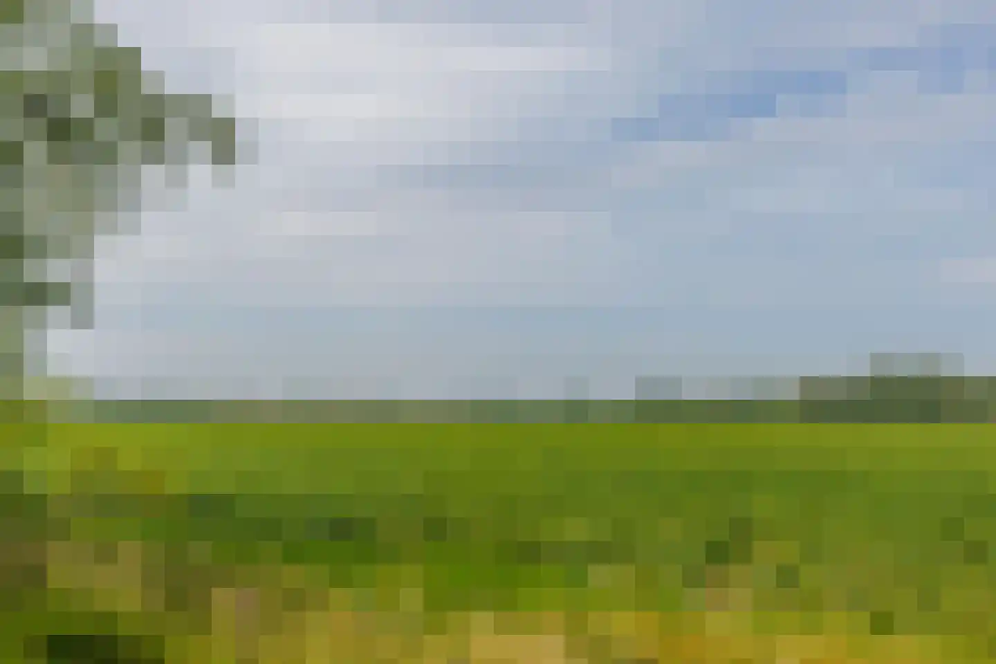 Pelsendijk 13 De Heen thumbnail 30