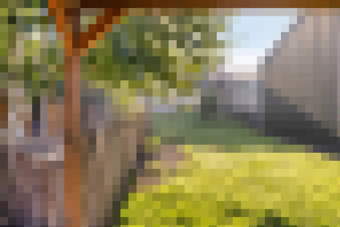 Pelsendijk 13 De Heen thumbnail 47