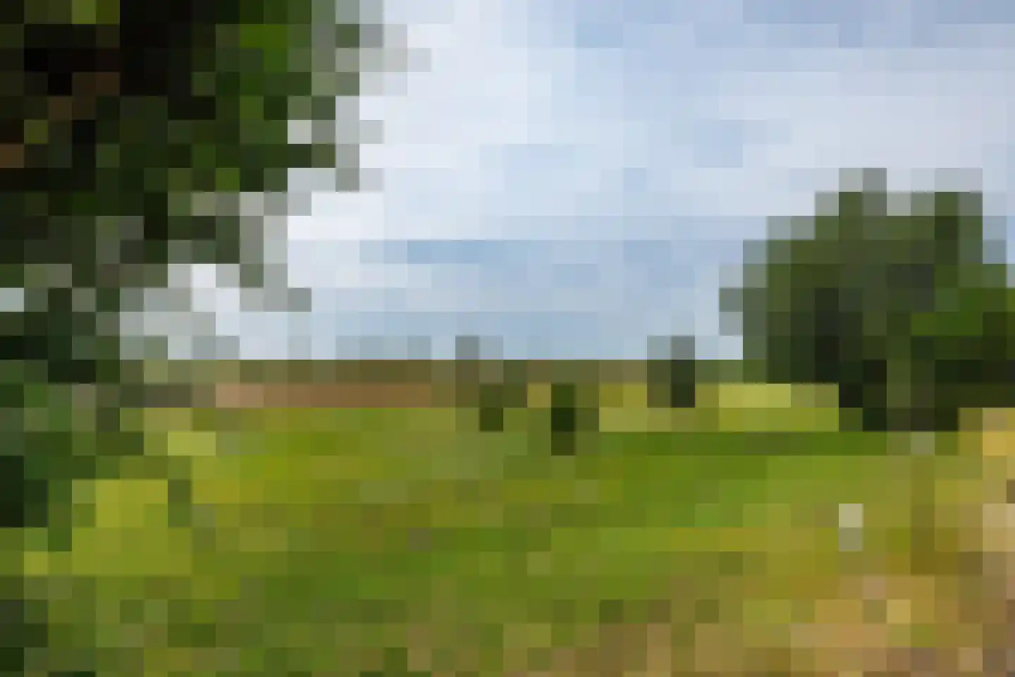 Pelsendijk 13 De Heen thumbnail 53