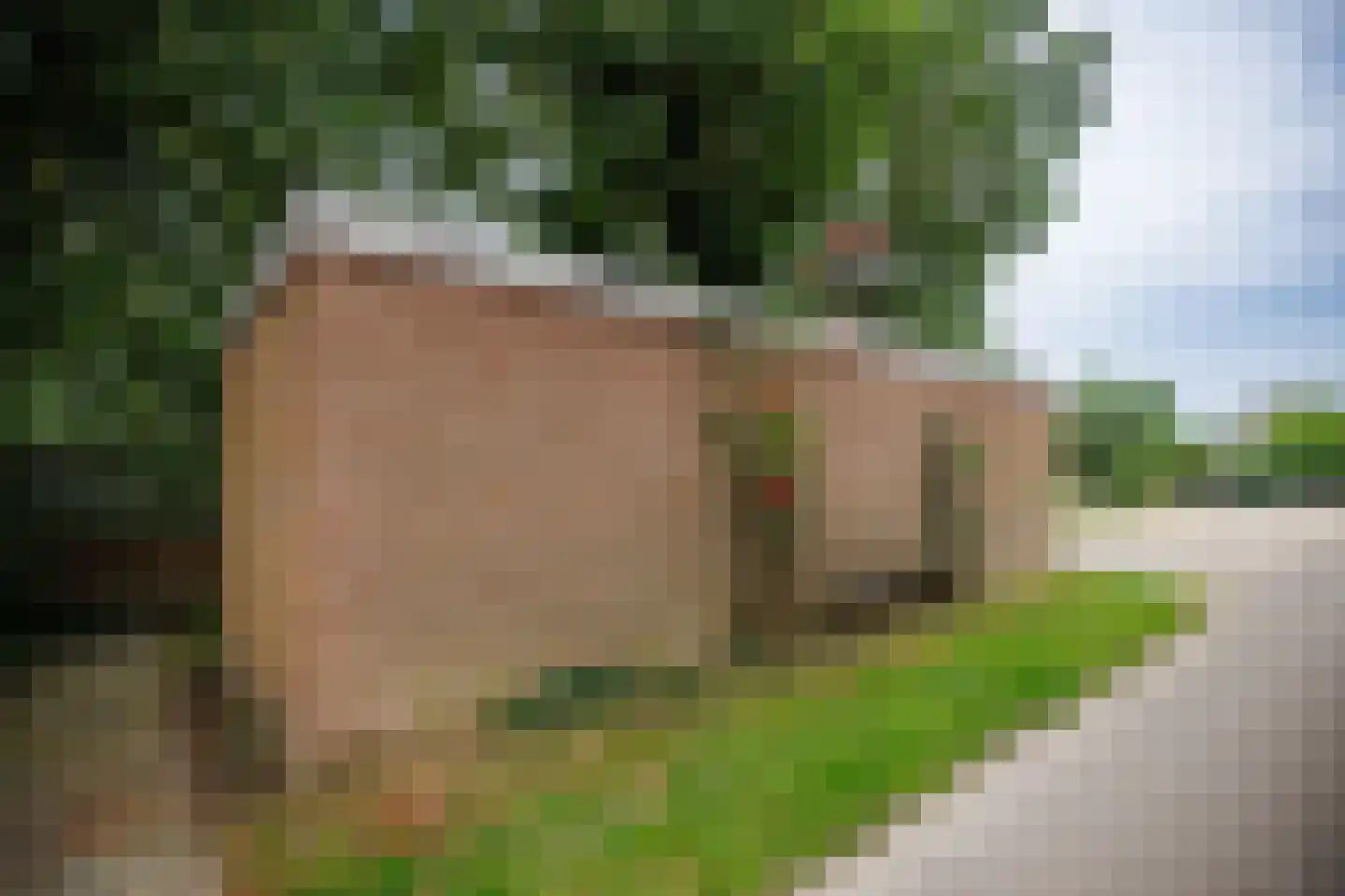 Pelsendijk 13 De Heen thumbnail 55