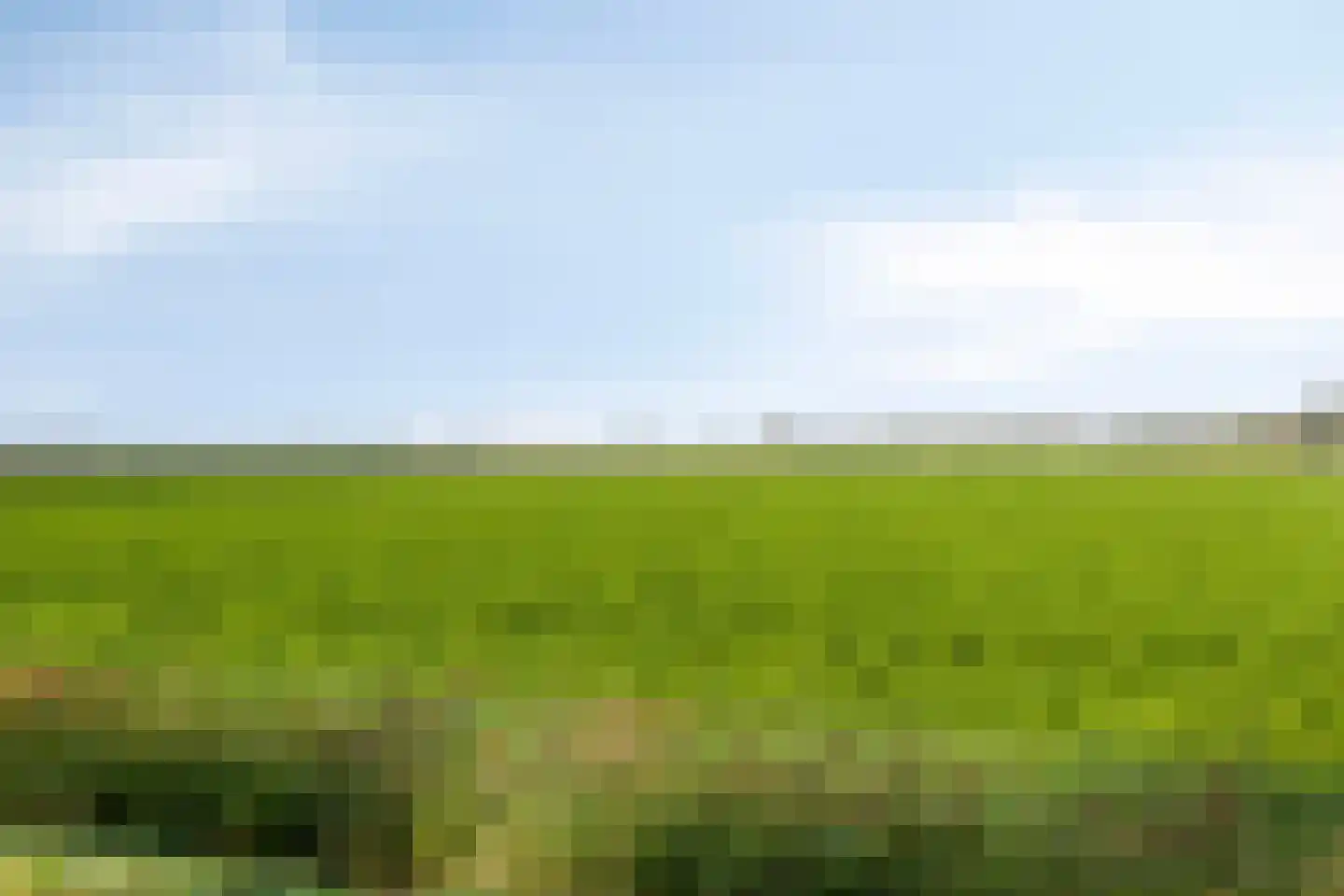 Pelsendijk 13 De Heen thumbnail 62