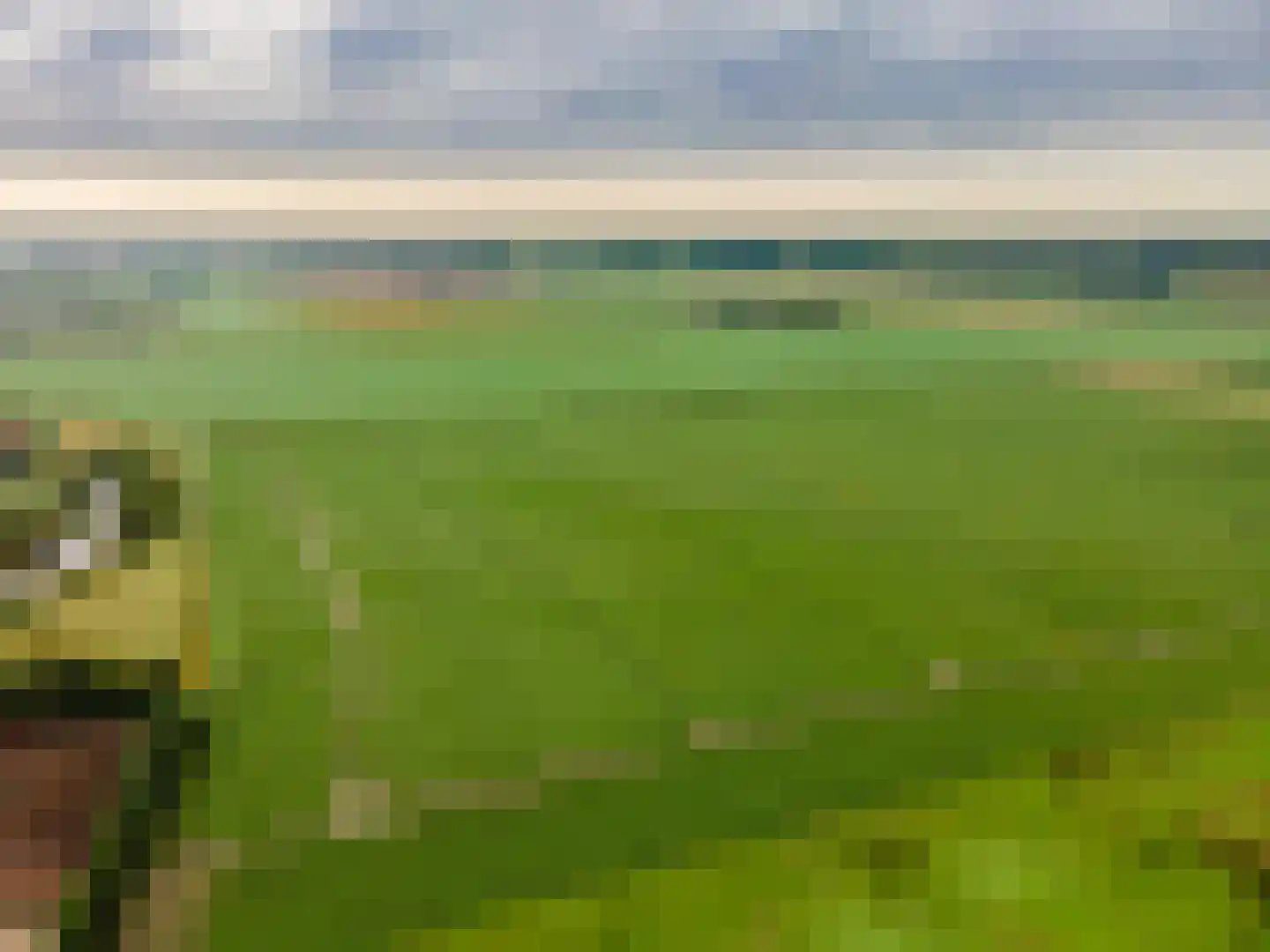 Pelsendijk 13 De Heen thumbnail 63