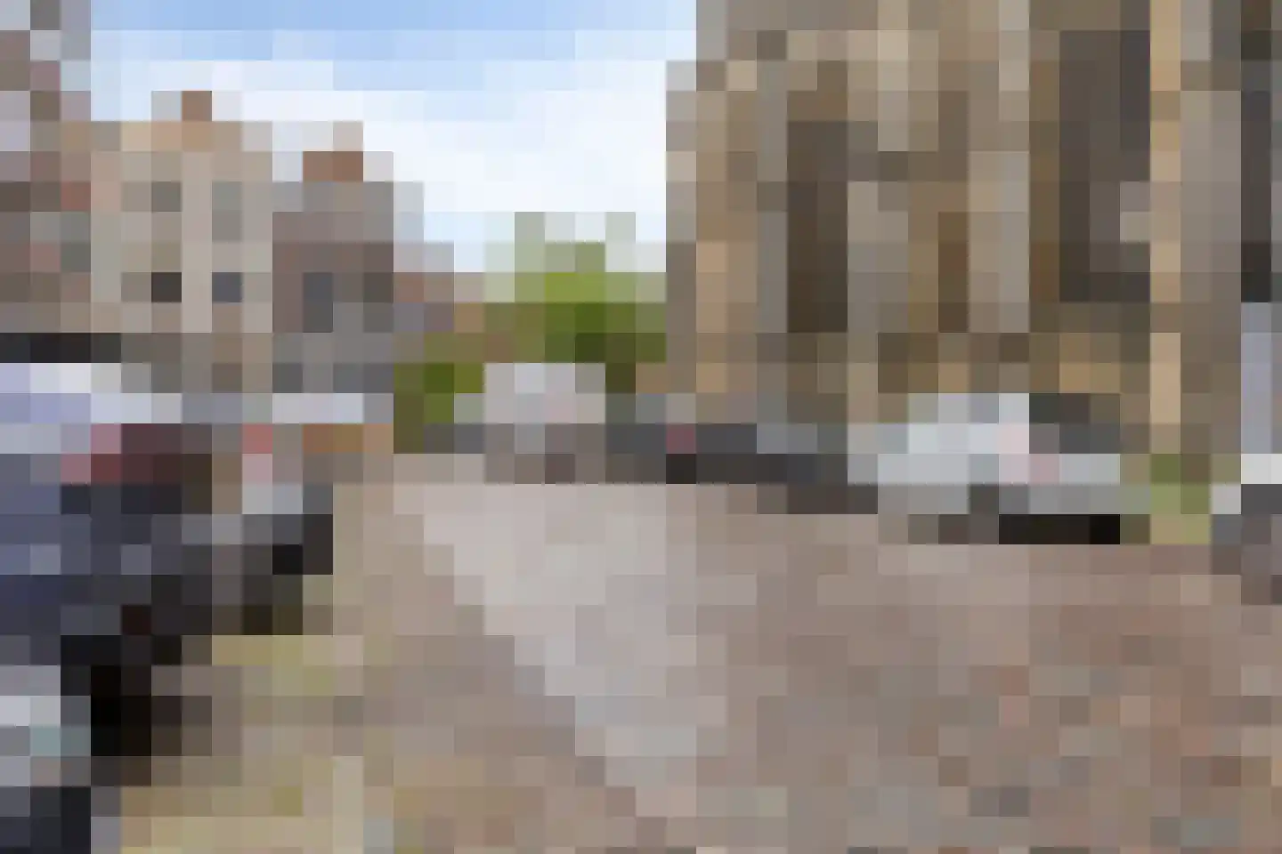 Pelserbrug 2 Dordrecht thumbnail 41