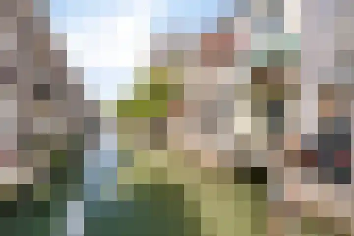 Pelserbrug 4 Dordrecht thumbnail 30