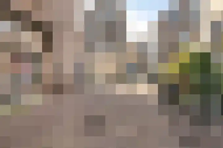 Pelserbrug 4 Dordrecht thumbnail 32