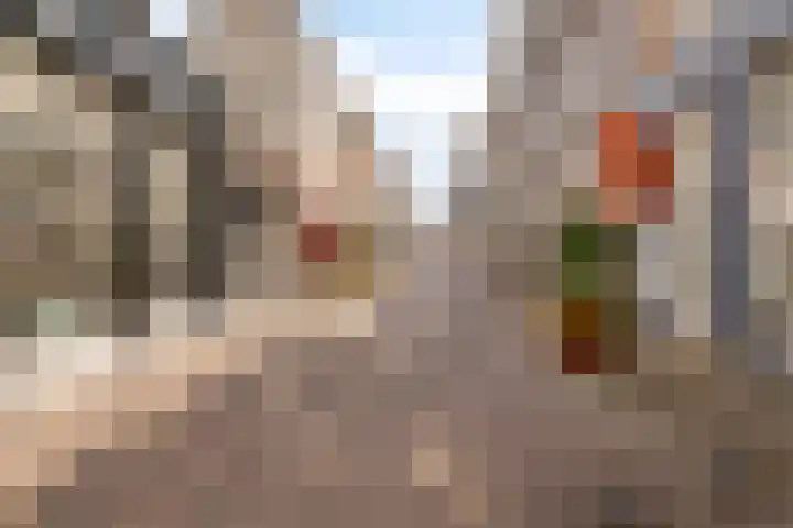Pelserbrug 4 Dordrecht thumbnail 33