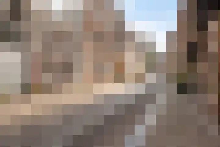 Pelserbrug 4 Dordrecht thumbnail 34