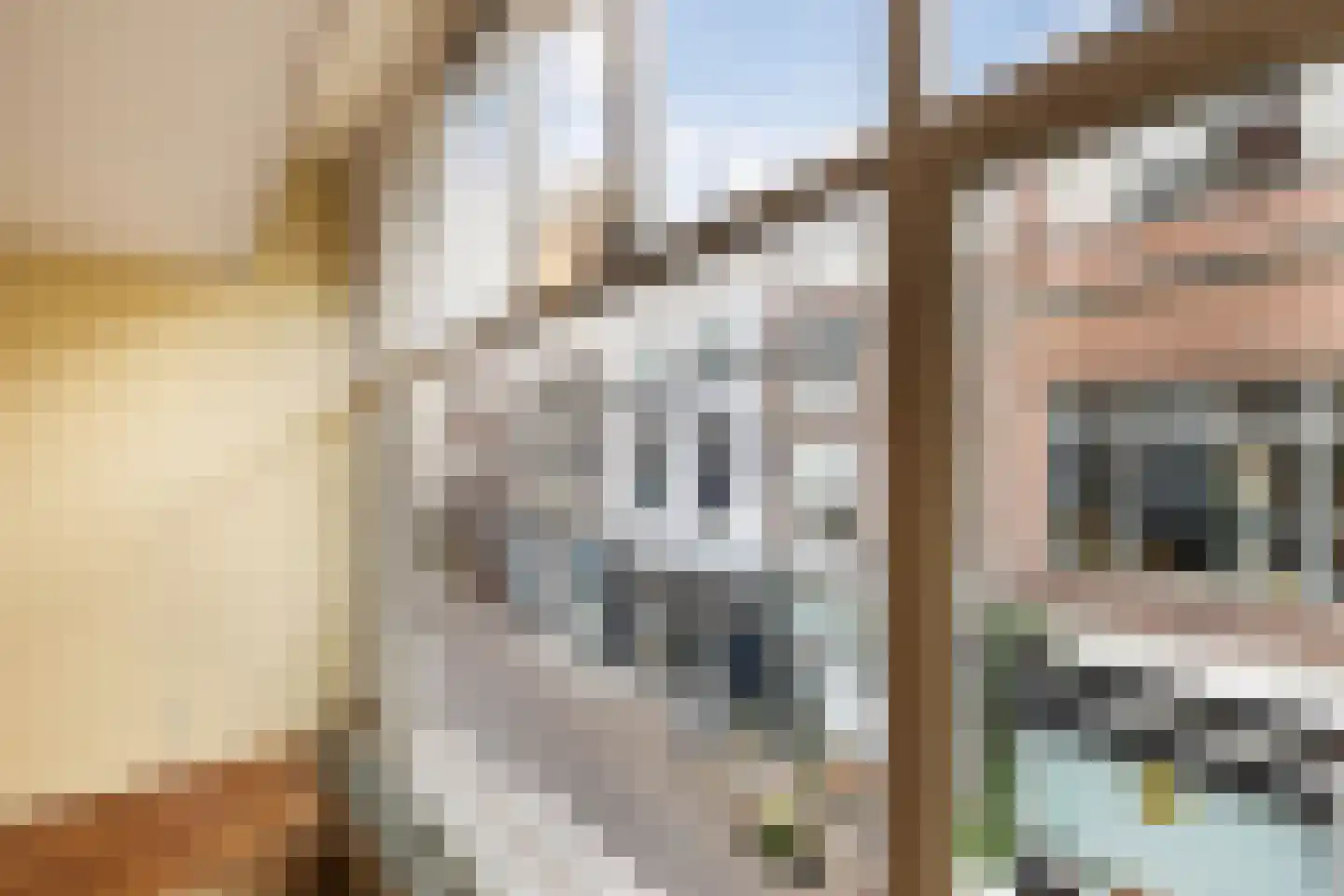 Pelserstraat 3 A Dordrecht thumbnail 11