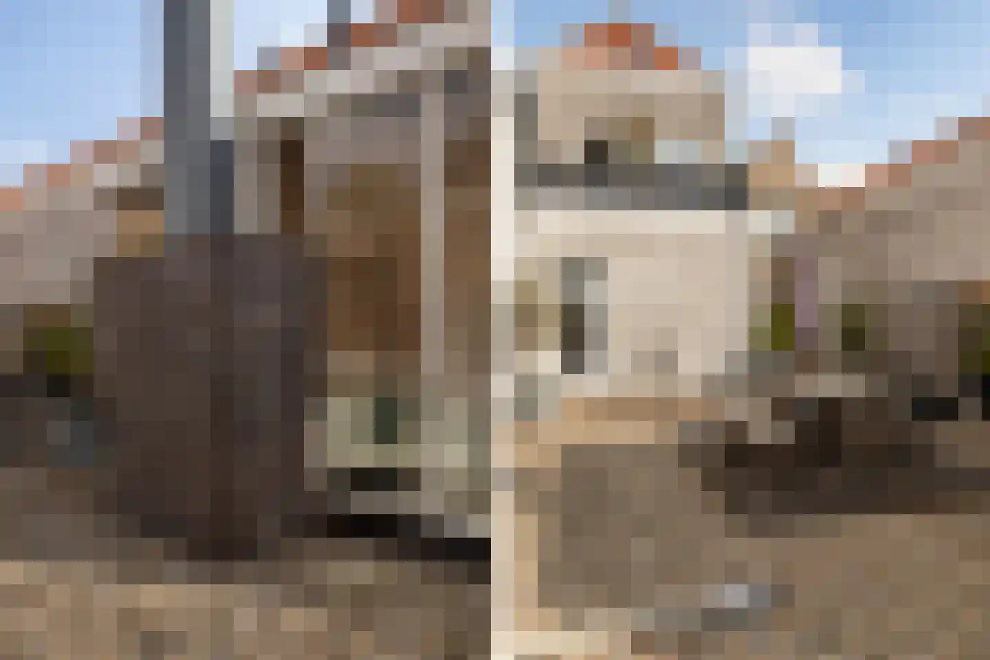 Pelserstraat 3 A Dordrecht thumbnail 30