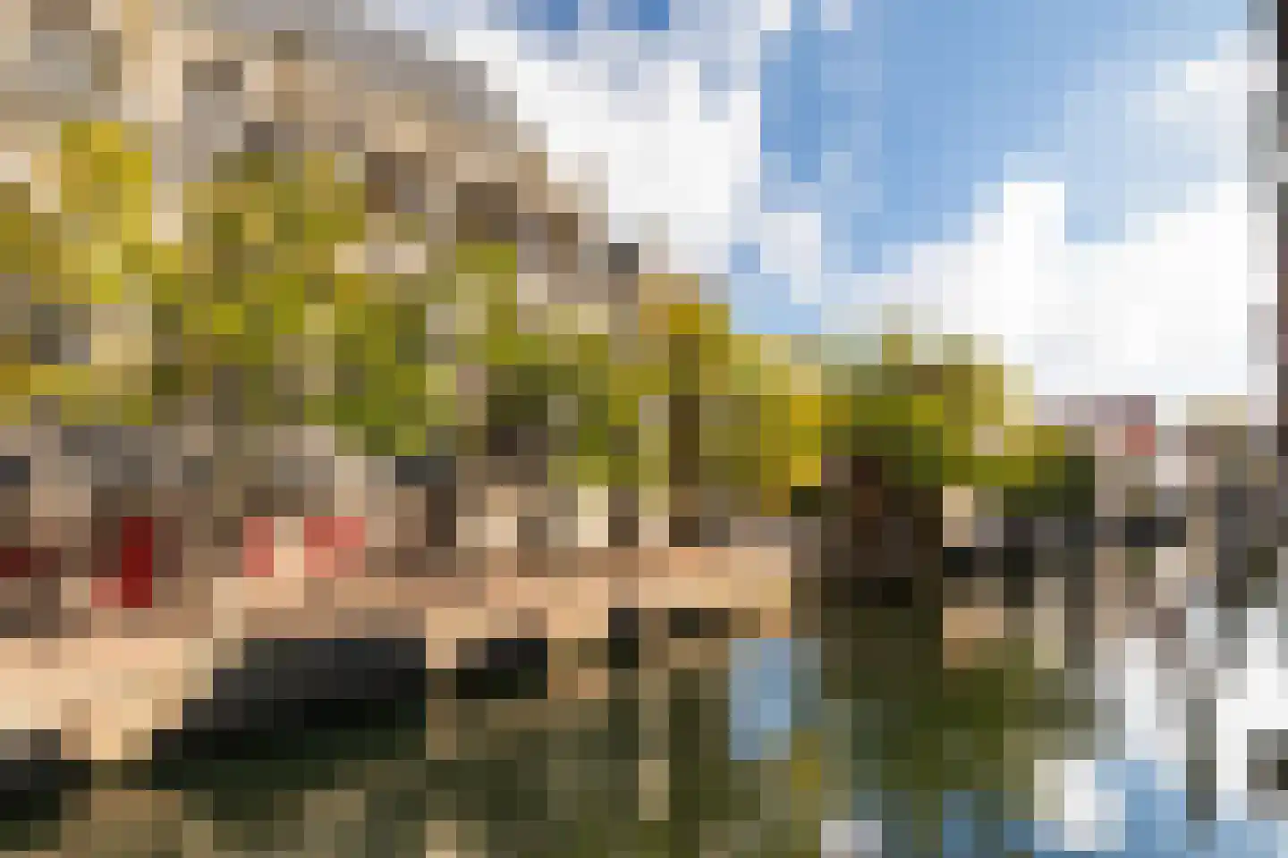 Pelserstraat 3 A Dordrecht thumbnail 34