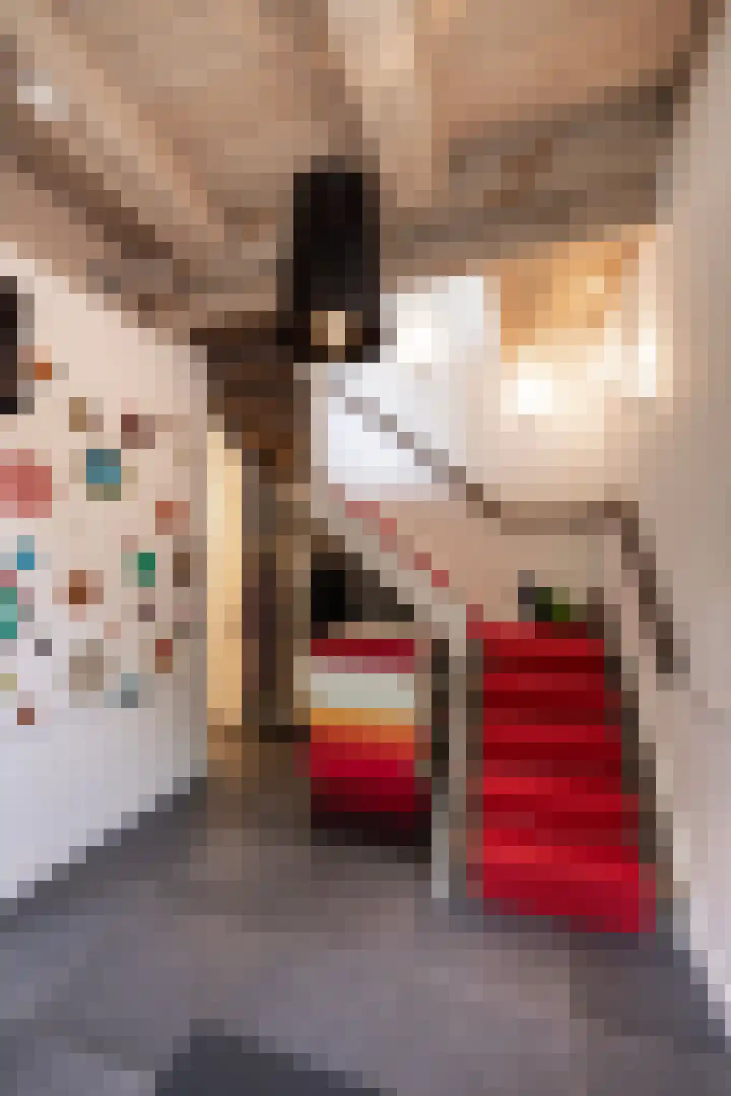 Pelsestraat 13 Heusden thumbnail 16
