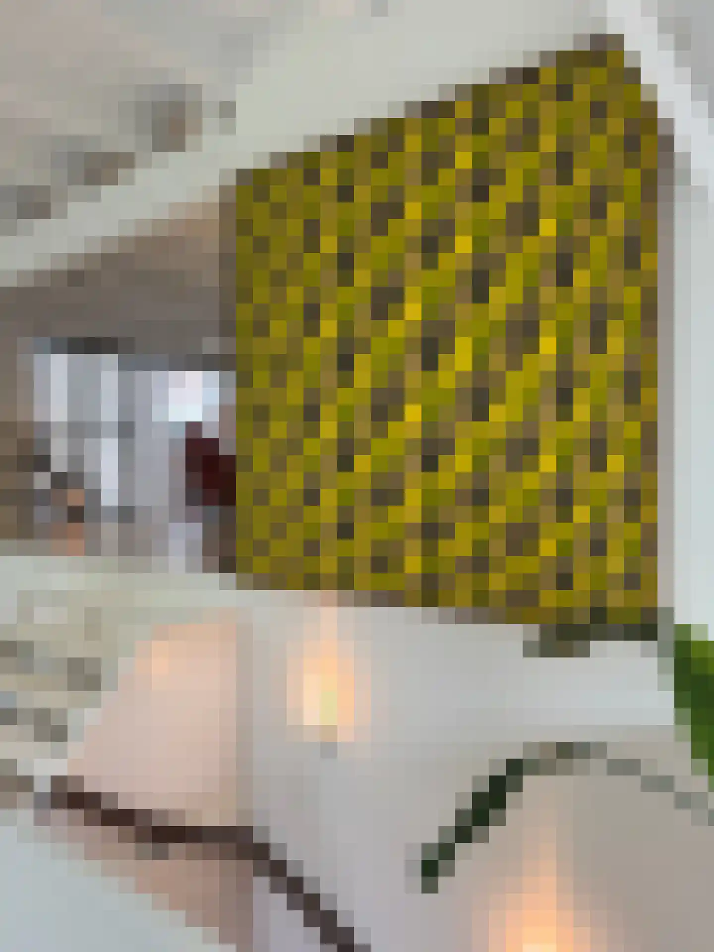 Pelsestraat 13 Heusden thumbnail 17
