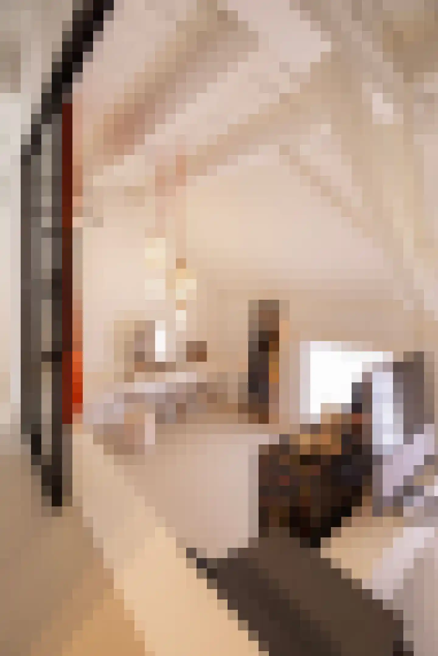 Pelsestraat 13 Heusden thumbnail 34