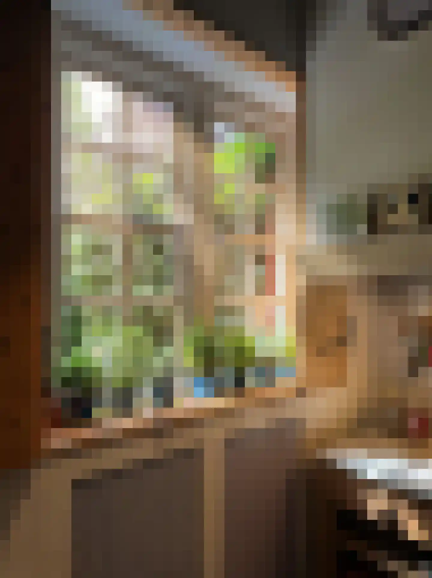 Pelsestraat 13 Heusden thumbnail 38