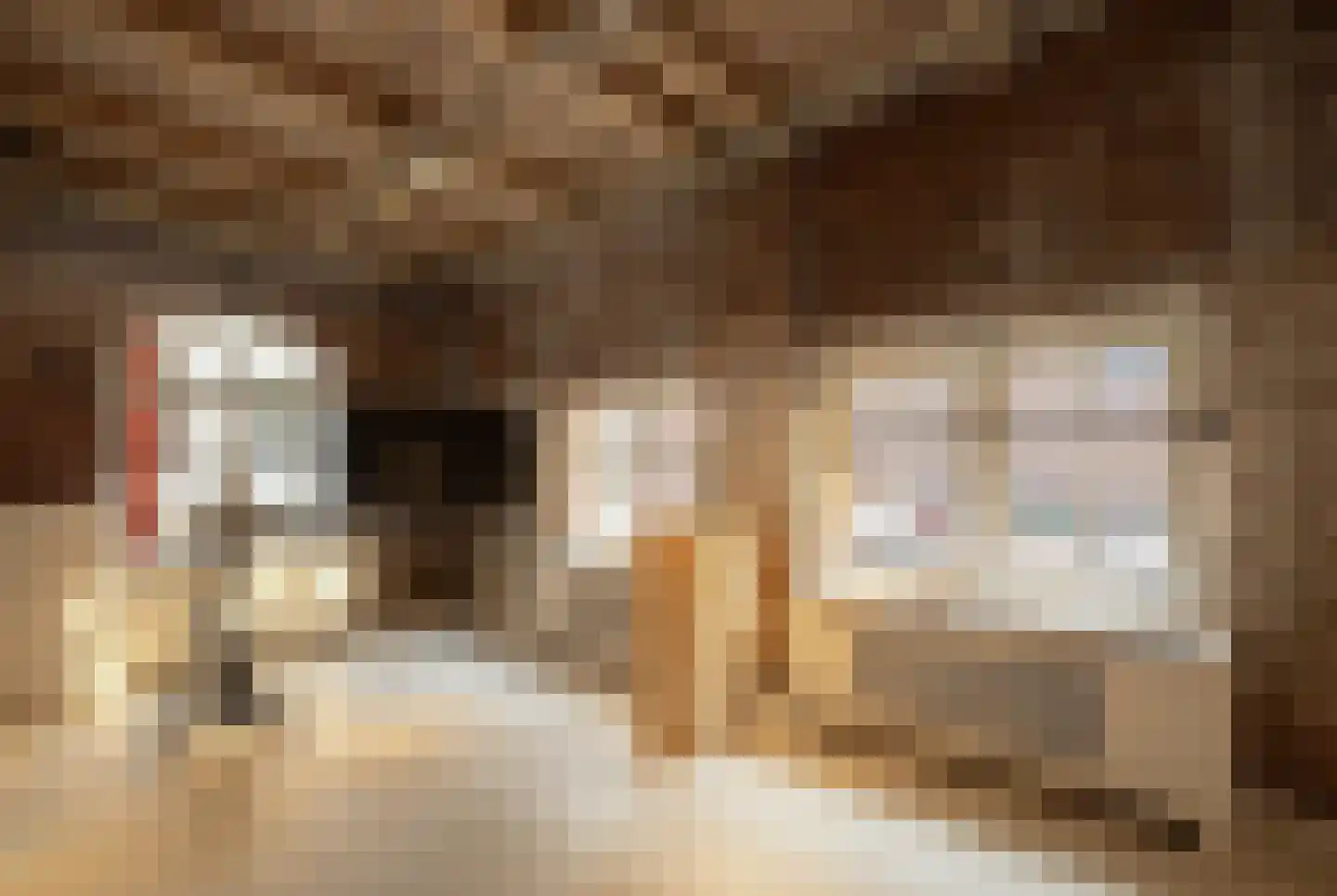 Pelsestraat 13 Heusden thumbnail 6
