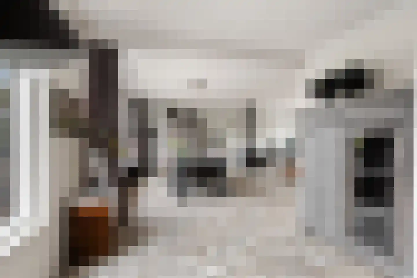 Pelsplein 5 Zevenbergen thumbnail 15