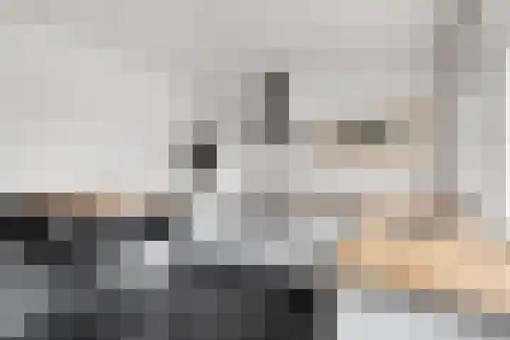 Pelssingel 22 's-Hertogenbosch thumbnail 12