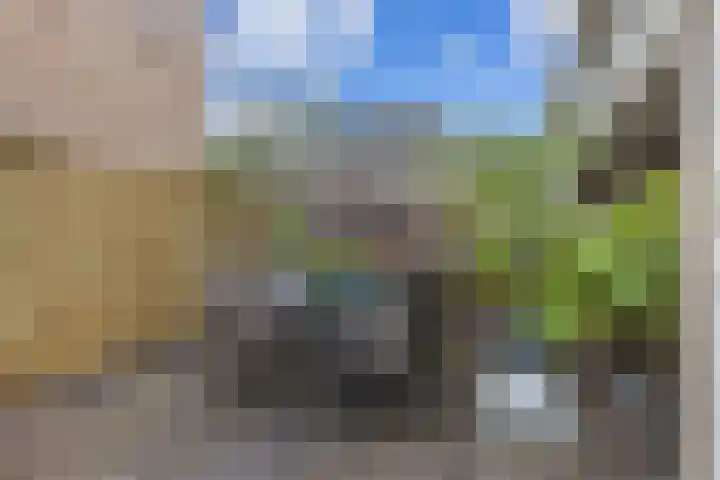 Pelssingel 22 's-Hertogenbosch thumbnail 15