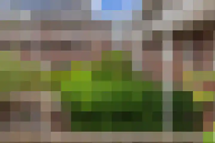 Pelssingel 22 's-Hertogenbosch thumbnail 16
