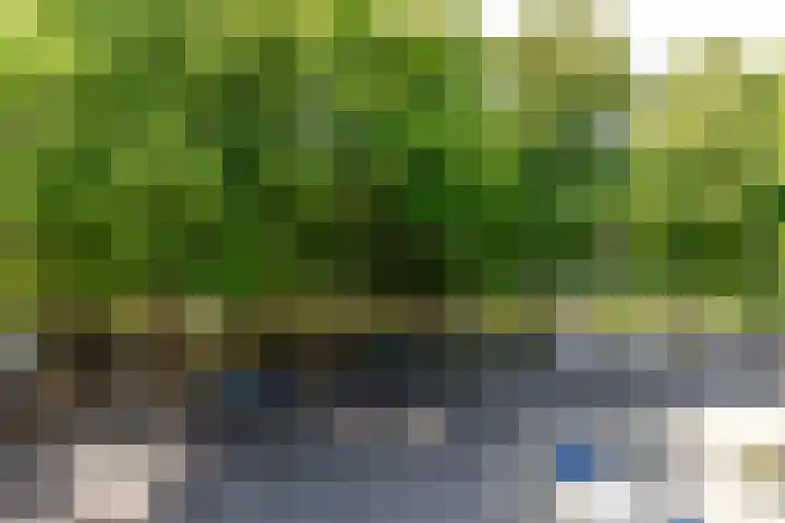 Pelssingel 22 's-Hertogenbosch thumbnail 22