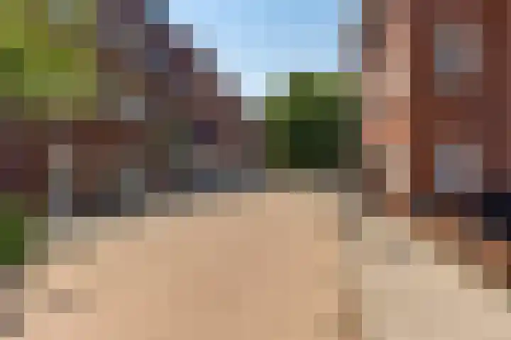 Pelssingel 22 's-Hertogenbosch thumbnail 31