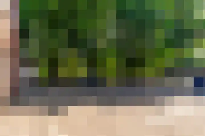 Pelssingel 22 's-Hertogenbosch thumbnail 32
