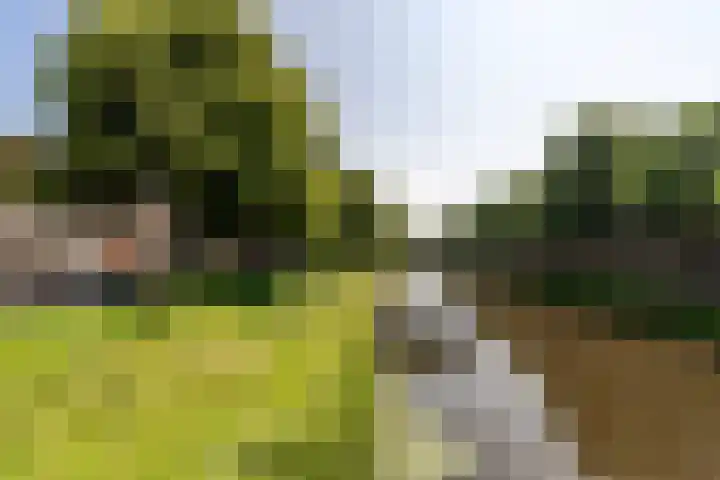 Pelssingel 22 's-Hertogenbosch thumbnail 33