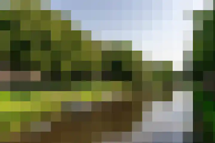 Pelssingel 22 's-Hertogenbosch thumbnail 34