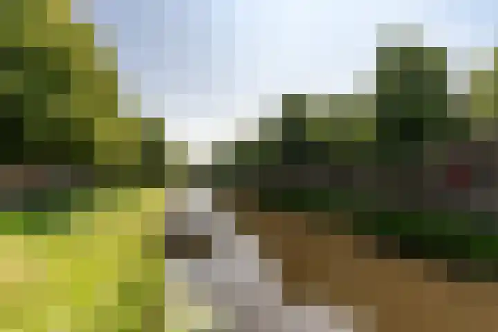 Pelssingel 22 's-Hertogenbosch thumbnail 35