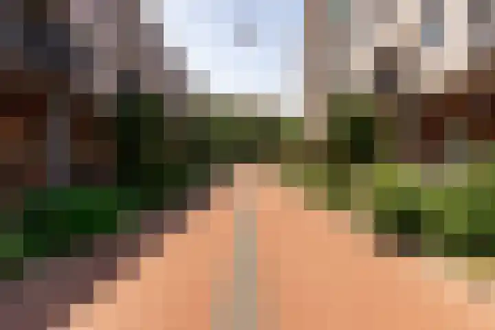 Pelssingel 22 's-Hertogenbosch thumbnail 36