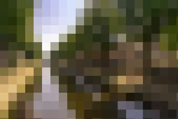 Pelssingel 22 's-Hertogenbosch thumbnail 37