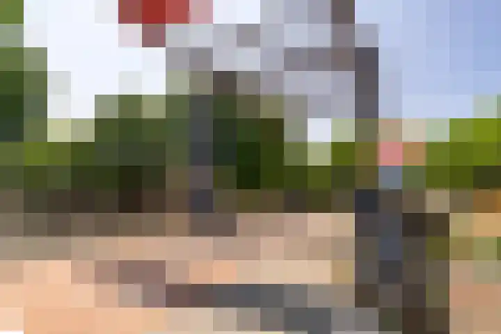 Pelssingel 22 's-Hertogenbosch thumbnail 38