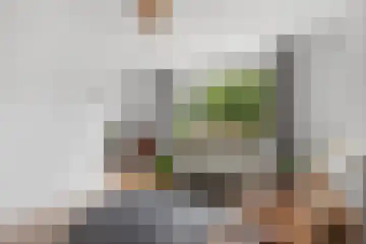 Pelssingel 22 's-Hertogenbosch thumbnail 4