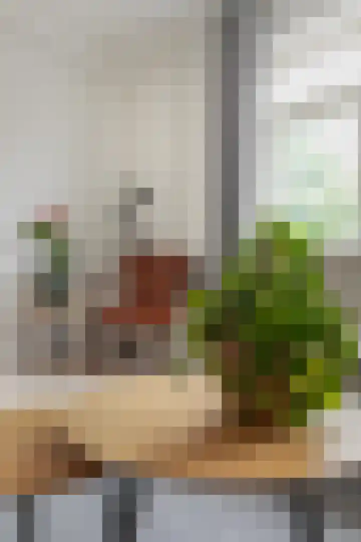 Pelssingel 22 's-Hertogenbosch thumbnail 5