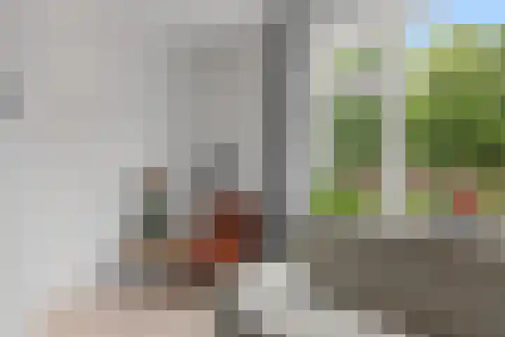 Pelssingel 22 's-Hertogenbosch thumbnail 6