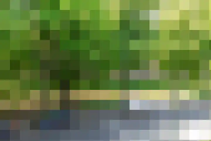 Pelssingel 22 's-Hertogenbosch thumbnail 7