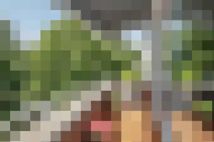 Pelssingel 32 's-Hertogenbosch thumbnail 12