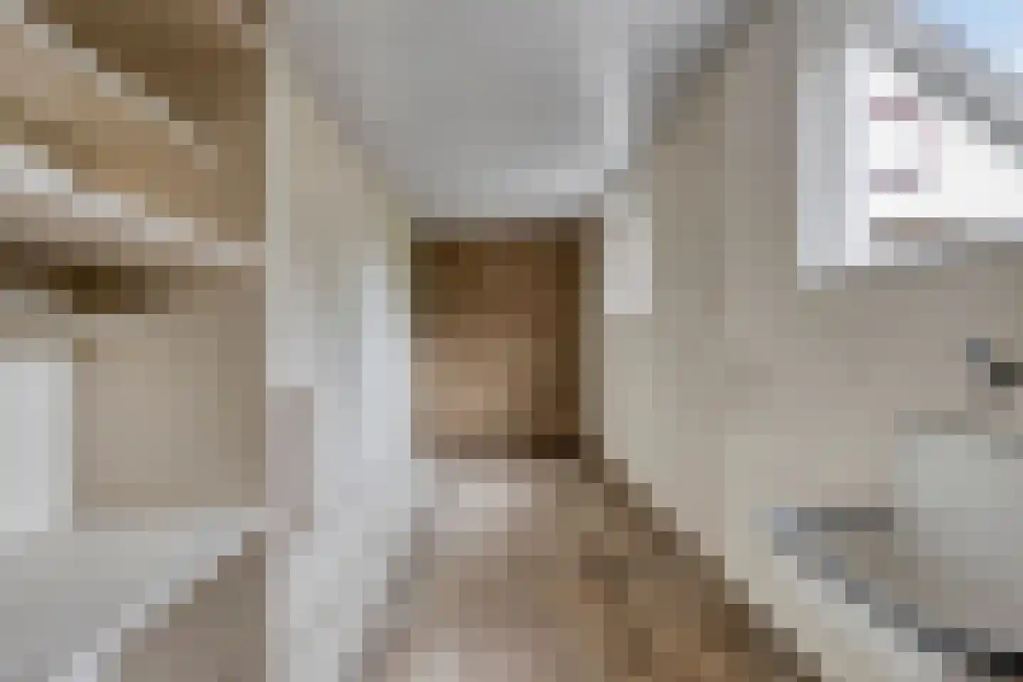 Pelstraat 1 Wolvega thumbnail 13